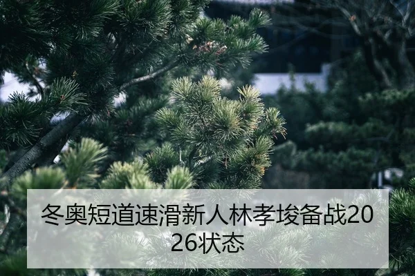dong-ao-duan-dao-su-hua-xin-ren-lin-xiao-jun-bei-zhan-zhuang-tai-2-234.jpg