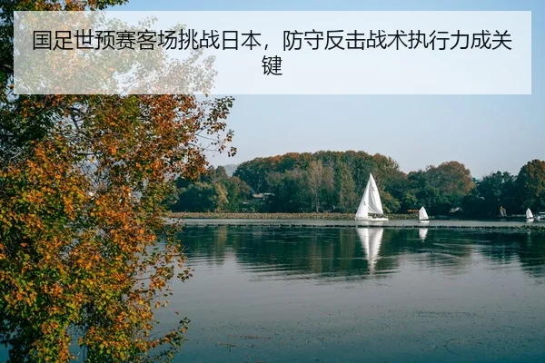 guo-zu-shi-yu-sai-ke-chang-tiao-zhan-ri-ben-fang-shou-fan-ji-zhan-shu-zhi-xing-li-cheng-guan-jian-2-426.jpg