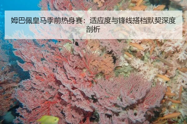 姆巴佩皇马季前热身赛：适应度与锋线搭档默契深度剖析