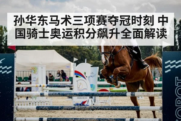 horse jumping arena