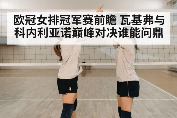 欧冠女排冠军赛前瞻 瓦基弗与科内利亚诺巅峰对决谁能问鼎