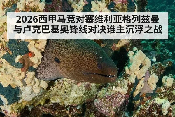 2026西甲马竞对塞维利亚格列兹曼与卢克巴基奥锋线对决谁主沉浮之战